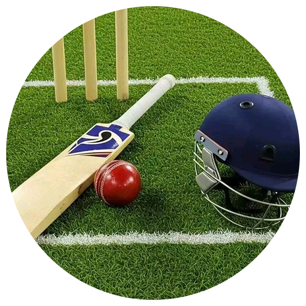 Cricket Posters